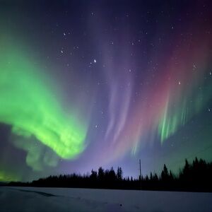 Givvy and Free Shipping